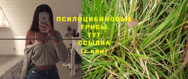соль ск Горняк