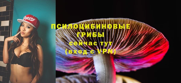соль ск Горняк