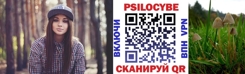где купить   Малоярославец  Псилоцибиновые грибы прущие грибы 